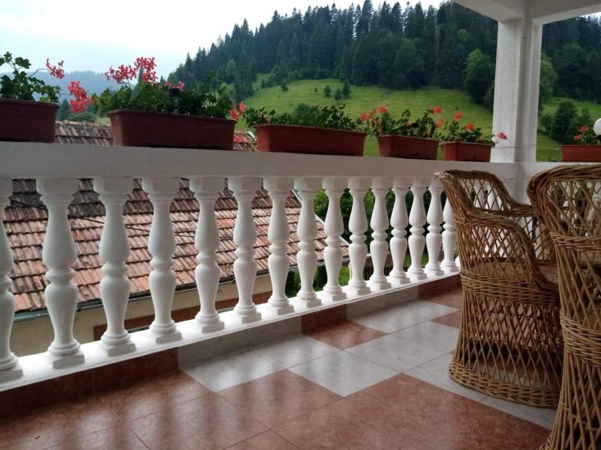 Hotel Casa Ionescu Sadova  Exterior foto