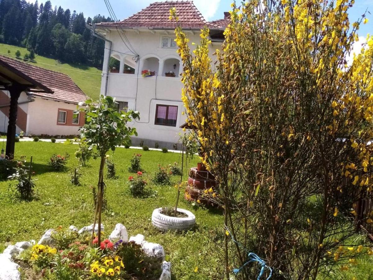 Hotel Casa Ionescu Sadova  Exterior foto
